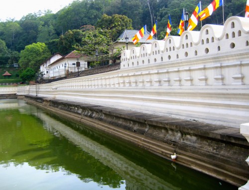Temple of the Tooth and Royal Botanic Gardens of Kandy – Sri Lanka